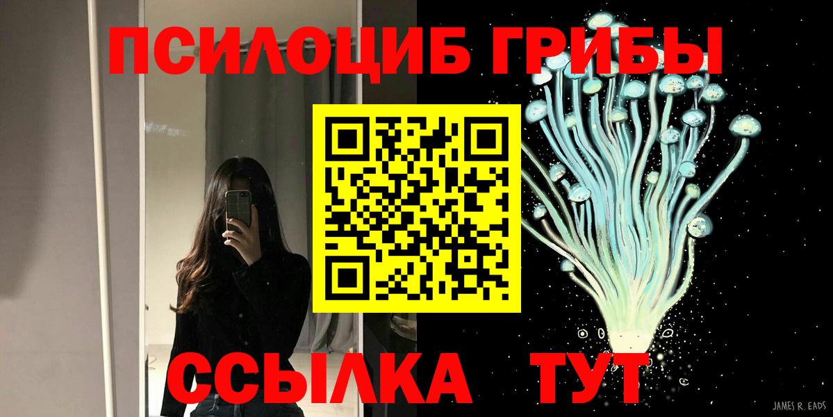 Галлюциногенные грибы Cubensis  Вход с VPN  Саранск 